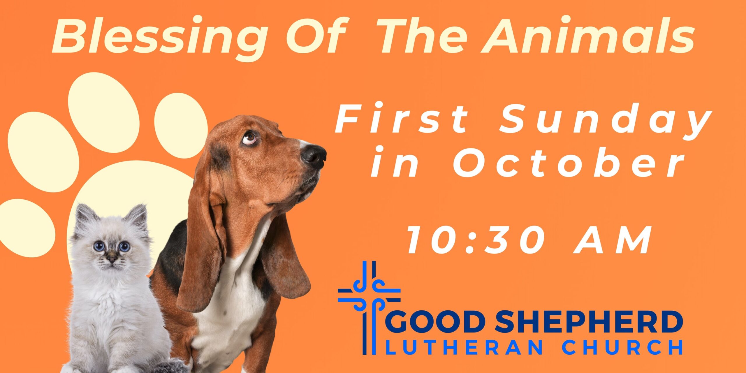 Blessing Of The Animals (Oct 5 10:30am)
